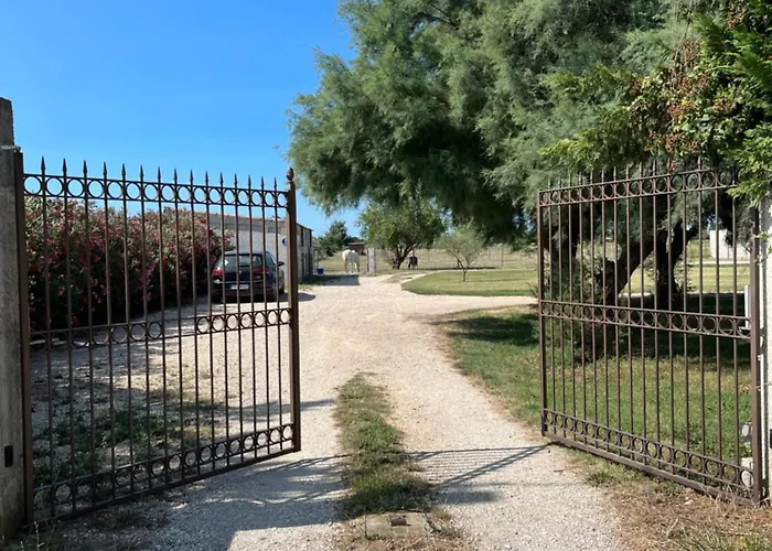  La Parenthèse   gîte en Camargue