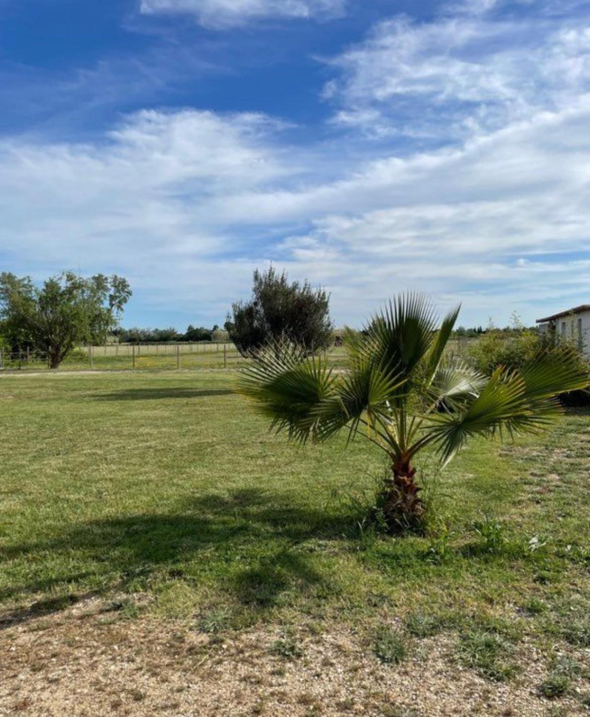  la Parenthèse   En Camargue Arles