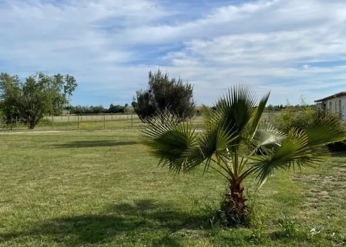 « La Parenthese » Gite En Camargue